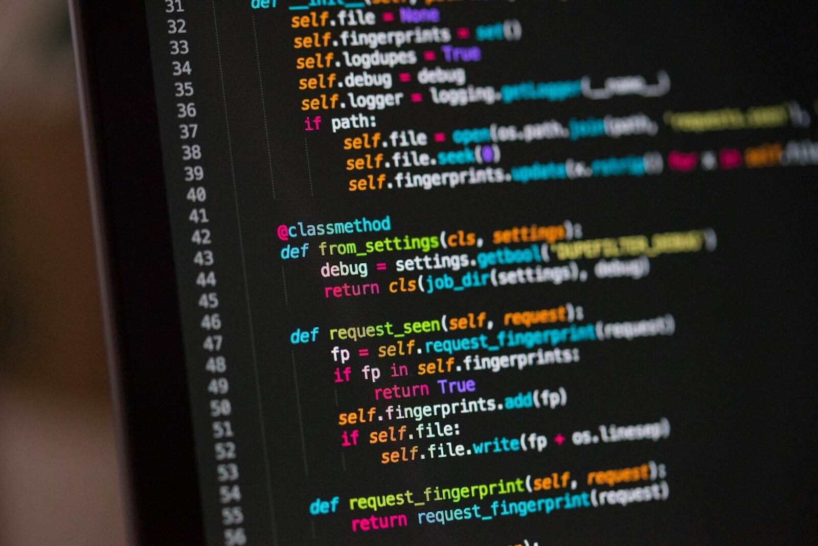 Developer building a custom web application